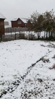 ПЕРВЫЙ СНЕГ ❄️