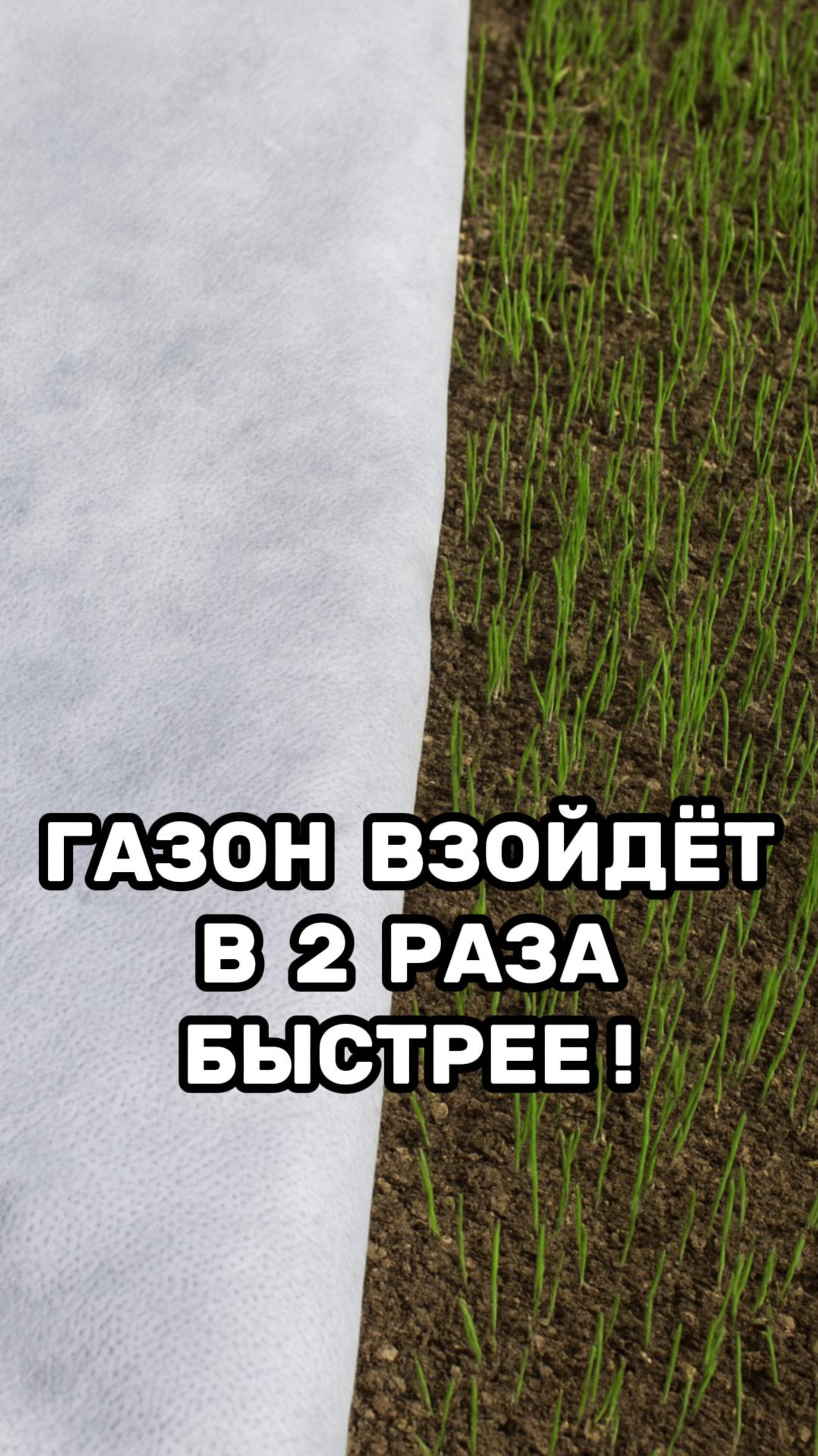 Газон растёт в 2 раза быстрее! #Газон #Сад #Огород