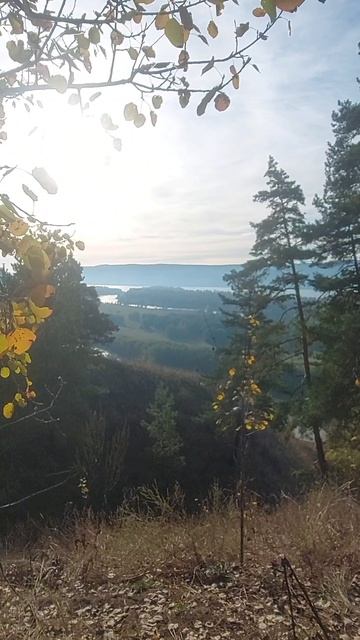 Осень
