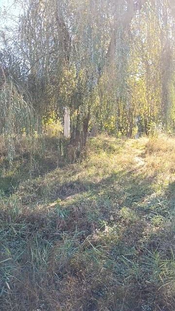 Как играют солнечные лучи в сентябрьский день...