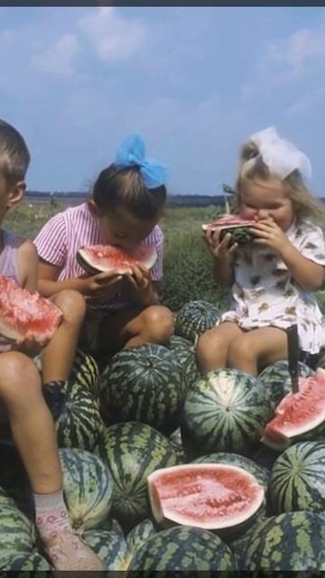 НейроПазл дарит движение вашим любимым фотографиям!