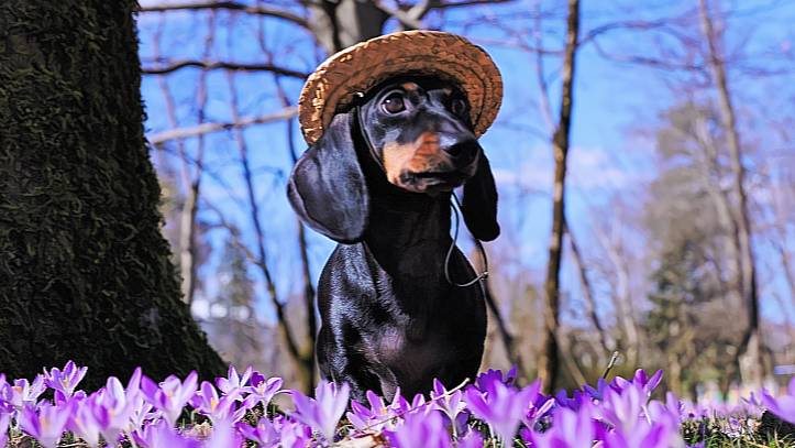 Как мне эта природа нравится....Юмор.