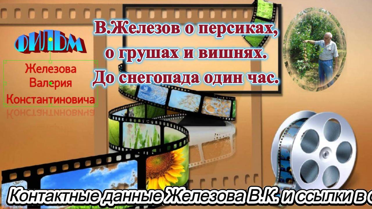 В.Железов о персиках, о грушах и вишнях. До снегопада один час.