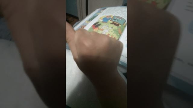 Гуси🪿🪿🪿