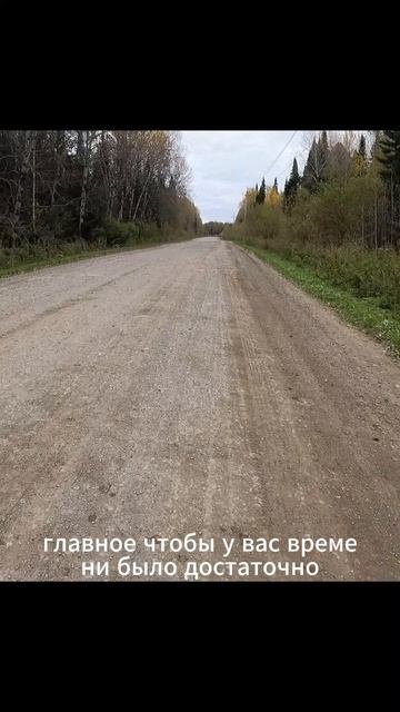 «Дыхание тайги»