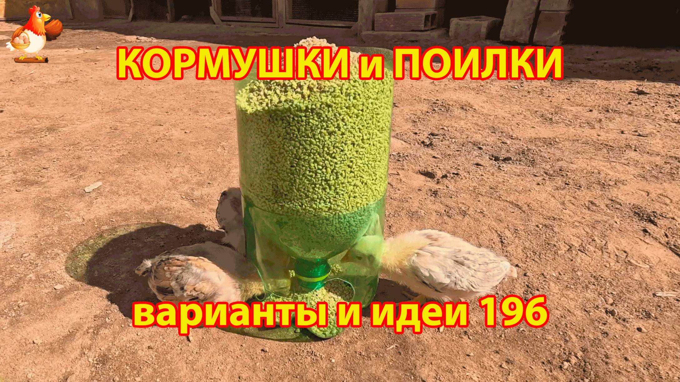 Кормушки и поилки для кур своими руками (196) 🪚✂️ Пошаговая инструкция как сделать 🐔 🐓❣️