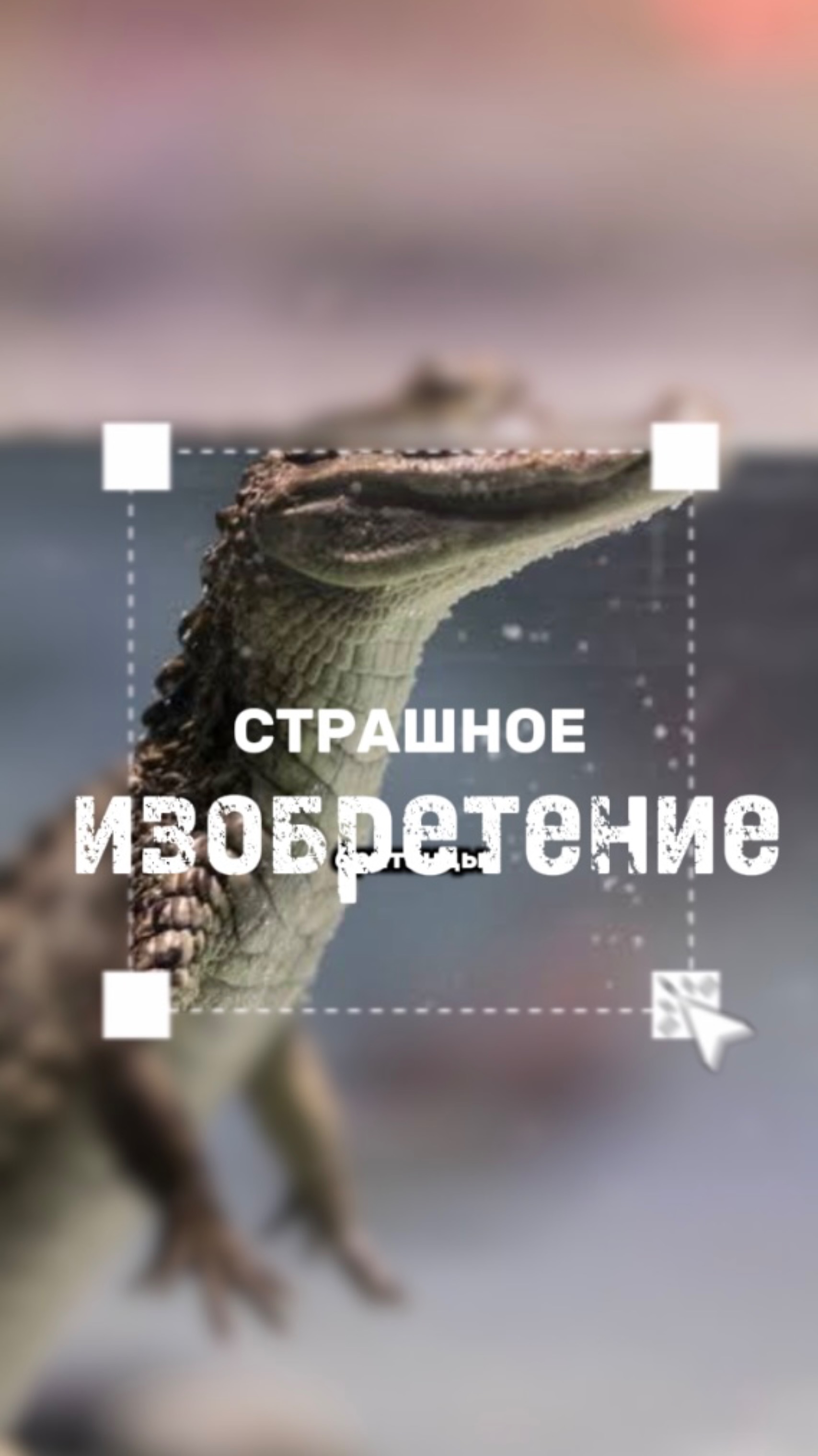 Зачем они это сделали?