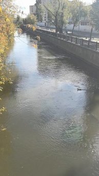 VID_20251002_125754.mp4