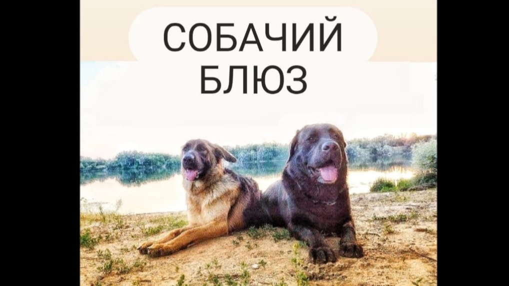 Собачий блюз