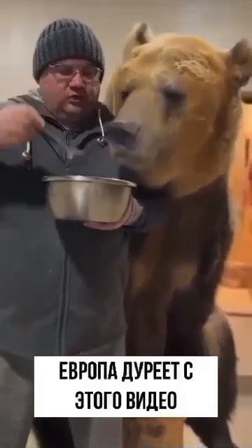 Мишка ест