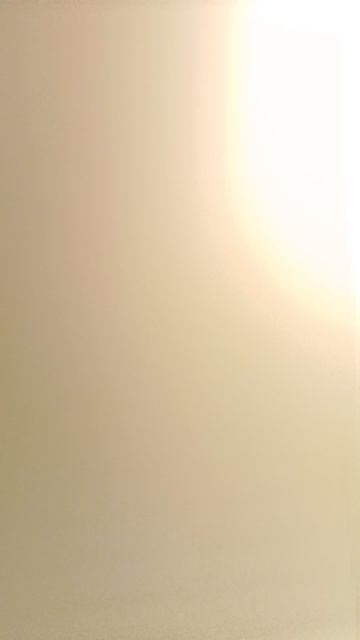 1000016007.mp4