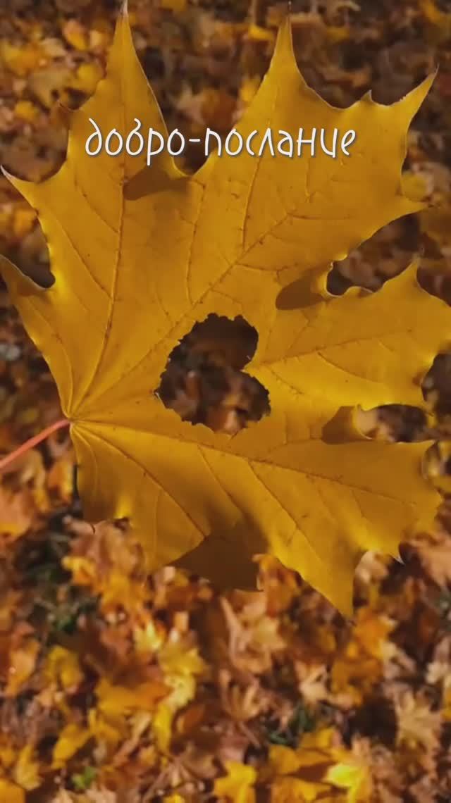 Доброе послание
