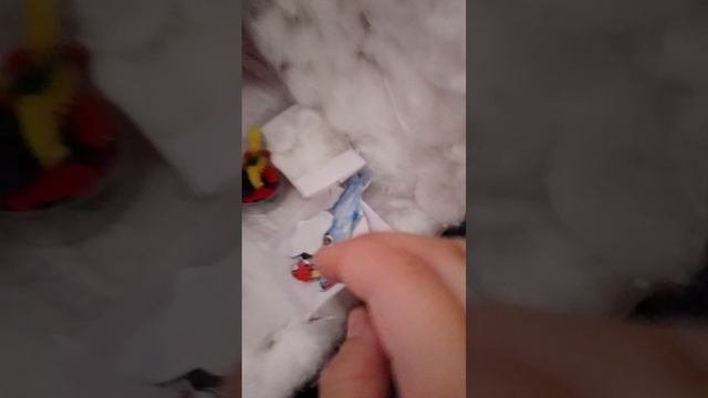 я новый собакер