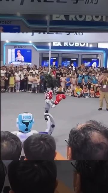 Бокс с роботами