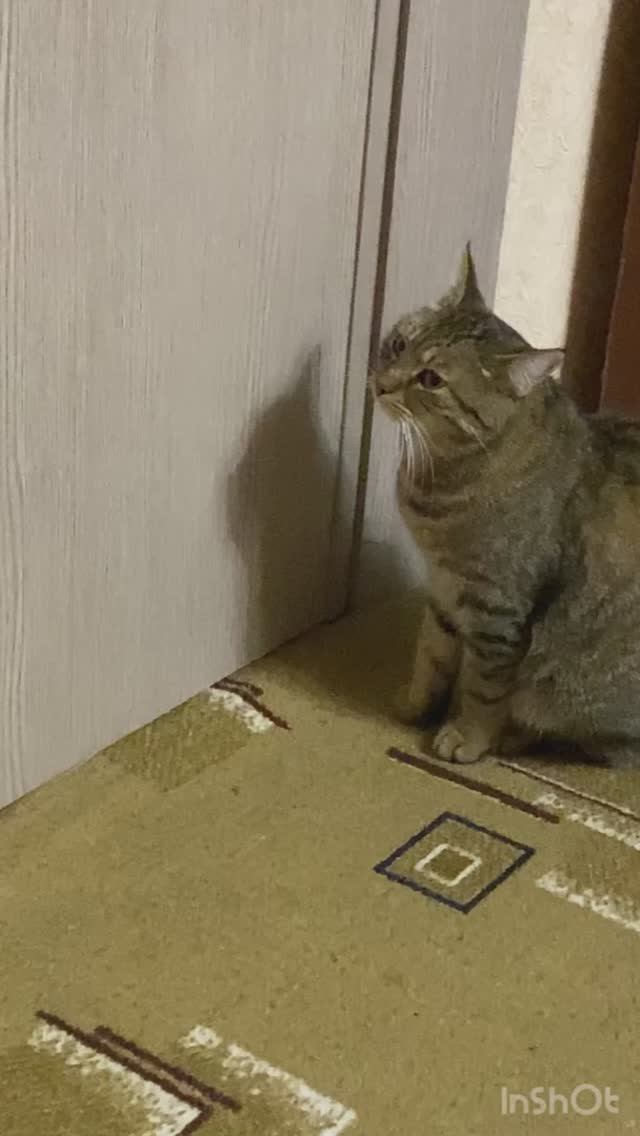 устал!