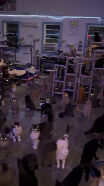 Ожидание перед ужином!