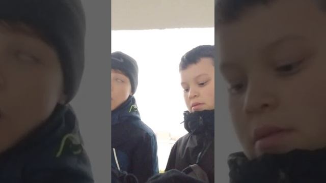 Мы выбрались из леса.