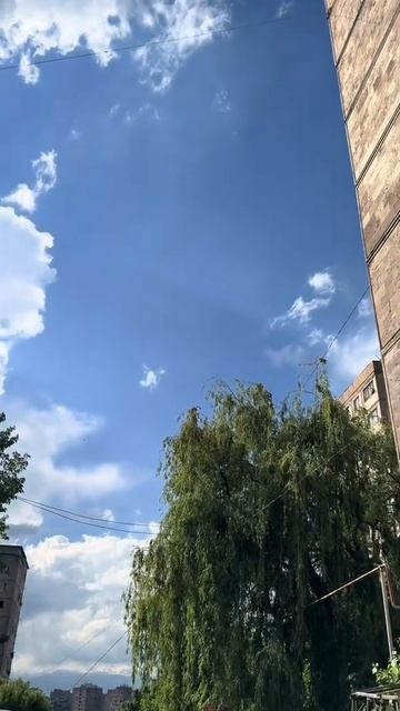 Архив ТикТок 25.05.2025 г.