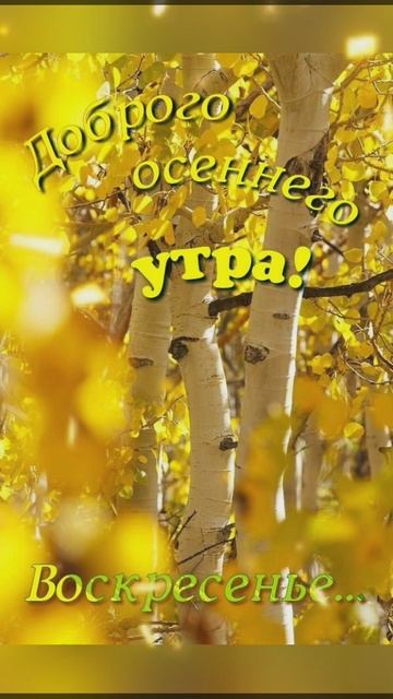 доброе утро🍰