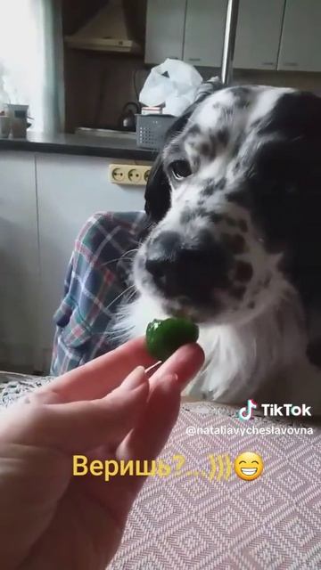 Забыл, когда ел...)))