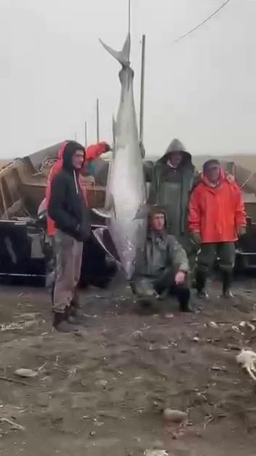 Сахалин Рыбалка 🎣