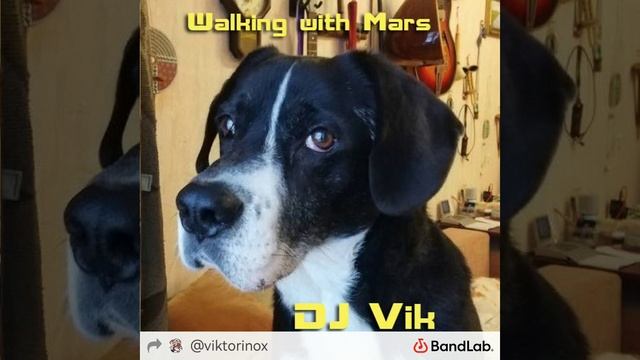 Walking With Mars - DJ Vik