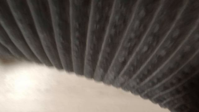 Лиза забрала у меня 5.000 и спрятала и не отдают