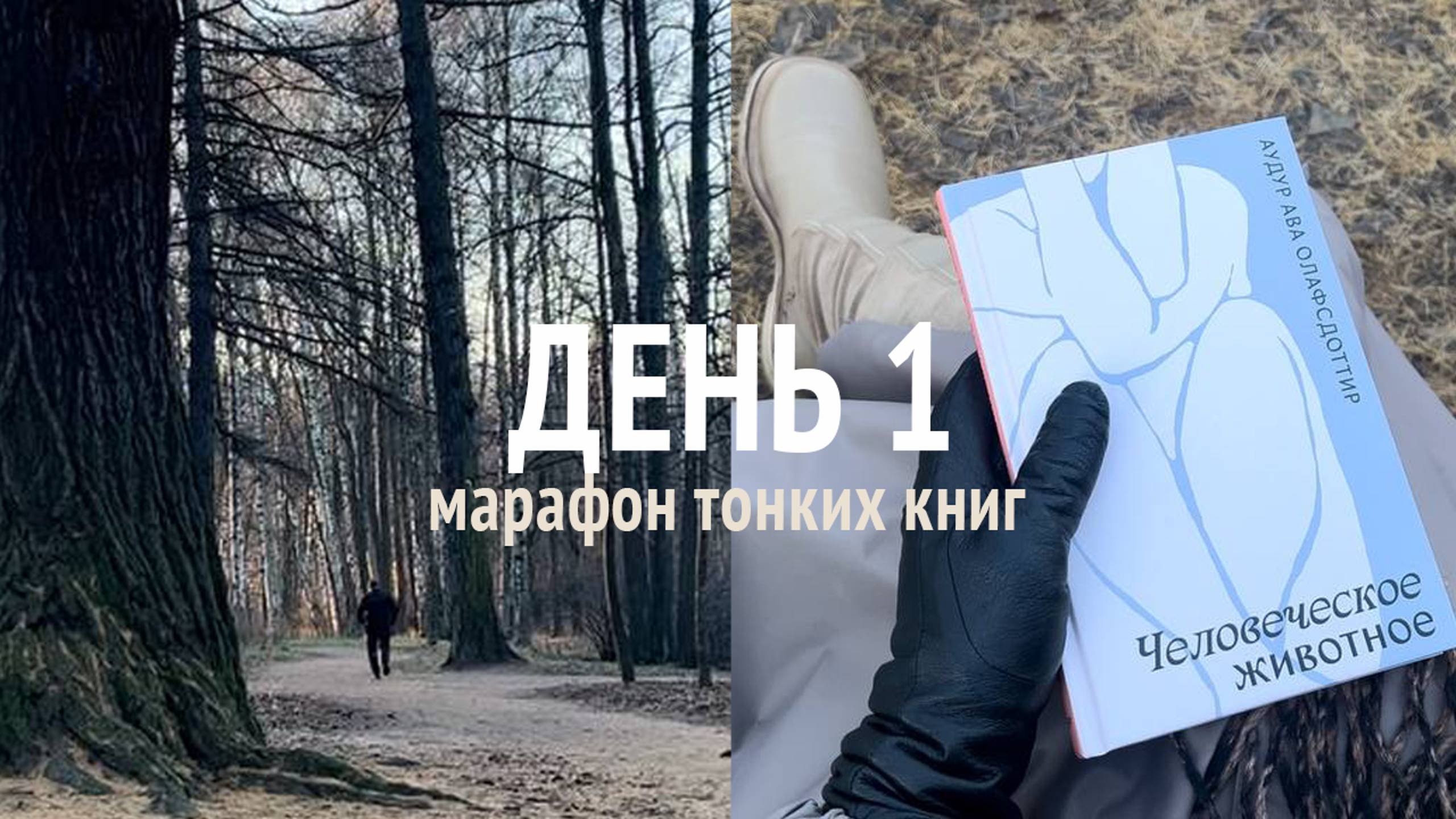 Читаю книгу про самое хрупкое существо на планете 🫂