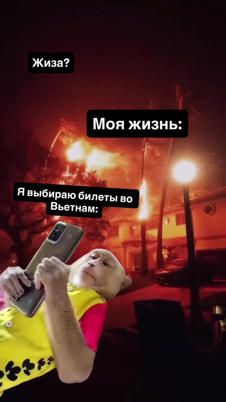 Жиза? И пусть все горит синем пламенем, я буду смотреть билеты во Вьетнам 🤣 отправь другу, у кот...