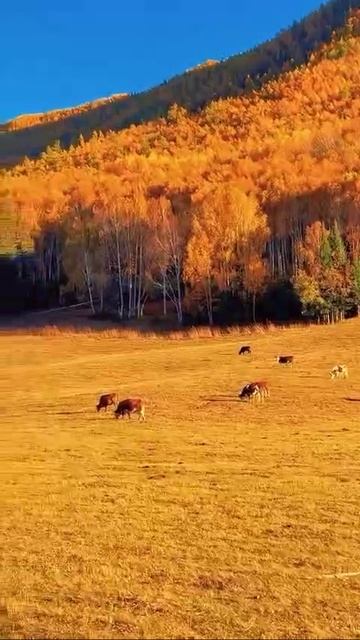 Осень