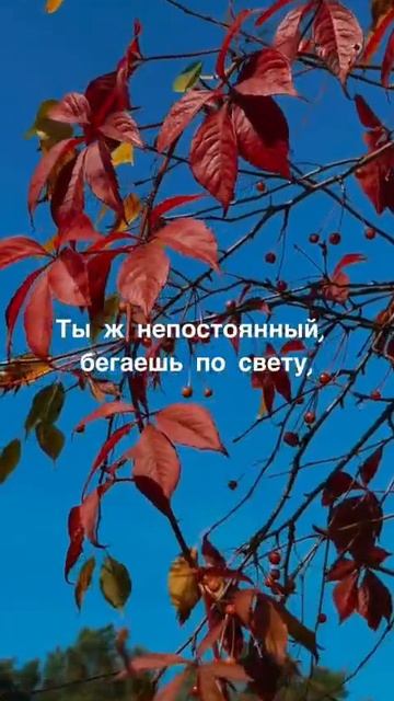 В подворотне осень, с ветром танцевала..