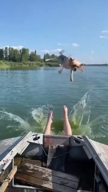 гравитация