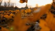 "Мне так тепло, когда я слышу голос твой...🍁🧣🍃