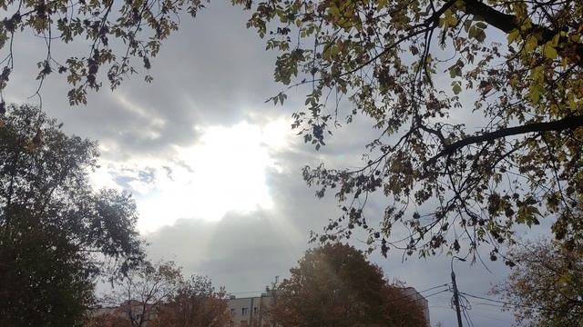 🌞 от волшебника как обещал... 5 октября...
