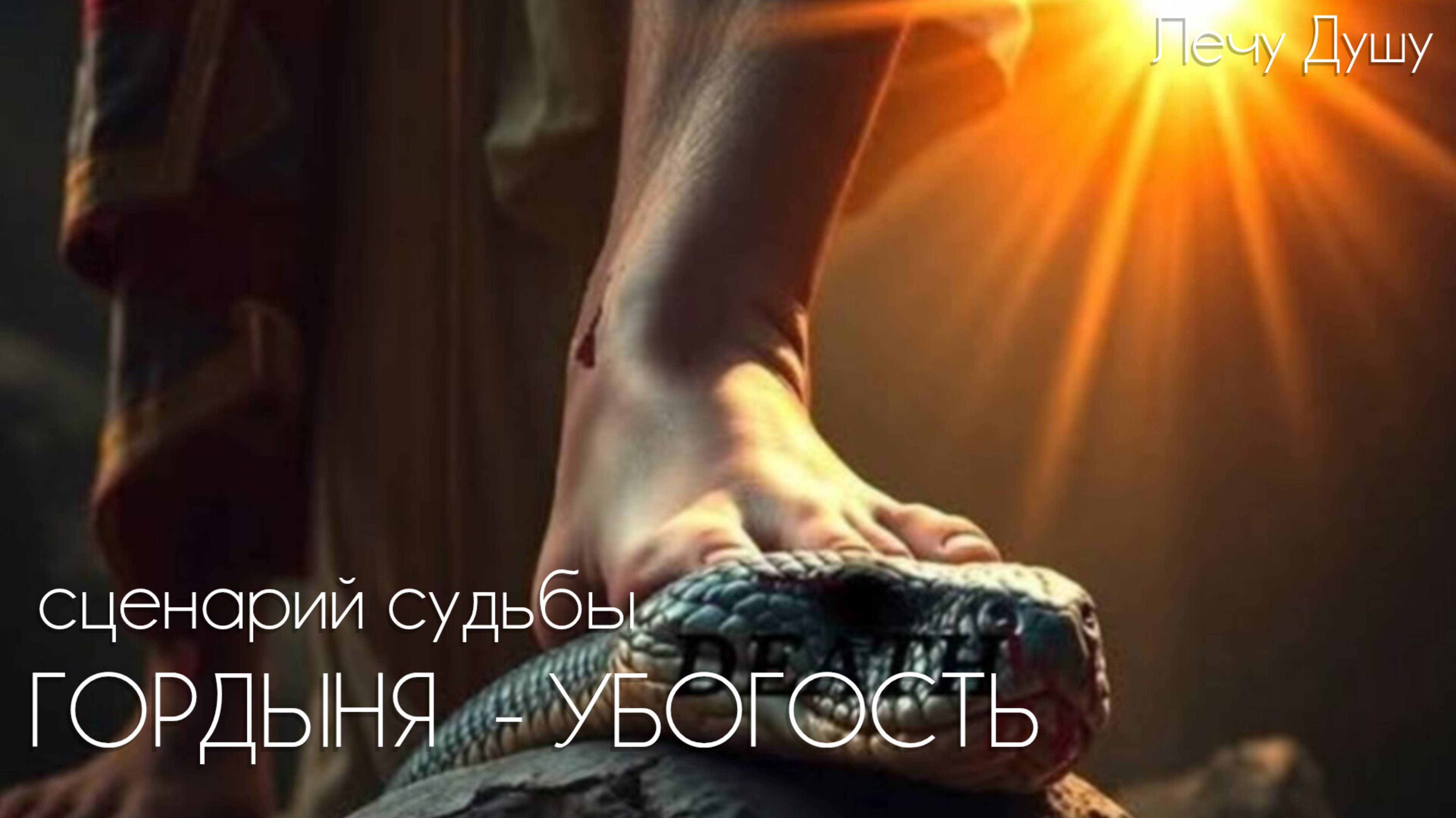 InShot_20251004_220937753
