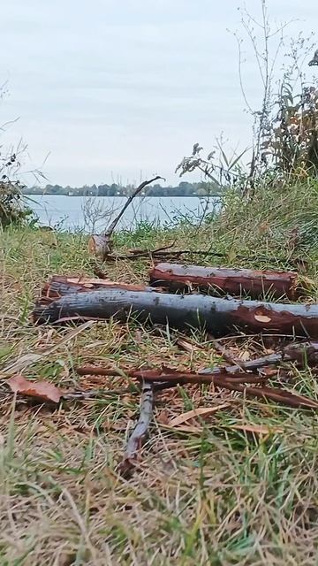 🍂🍁🍂Октябрь 2025🍂Подмосковье🍂