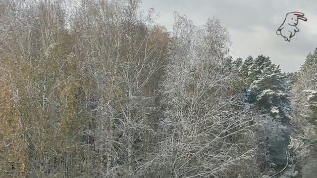 Академгородок, 5 октября 2025 г. И вот опять пришла холодная зима. Джони Д. Снег выпал, а листья...