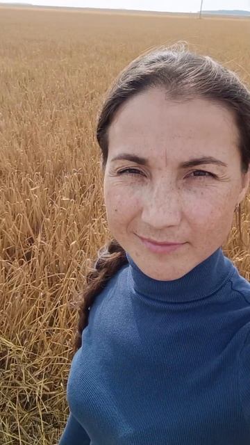 Прогулялась по полю. Уборка ячменя 🌾🌾🌾