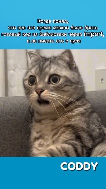 Тот самый момент, когда понял это 🫣