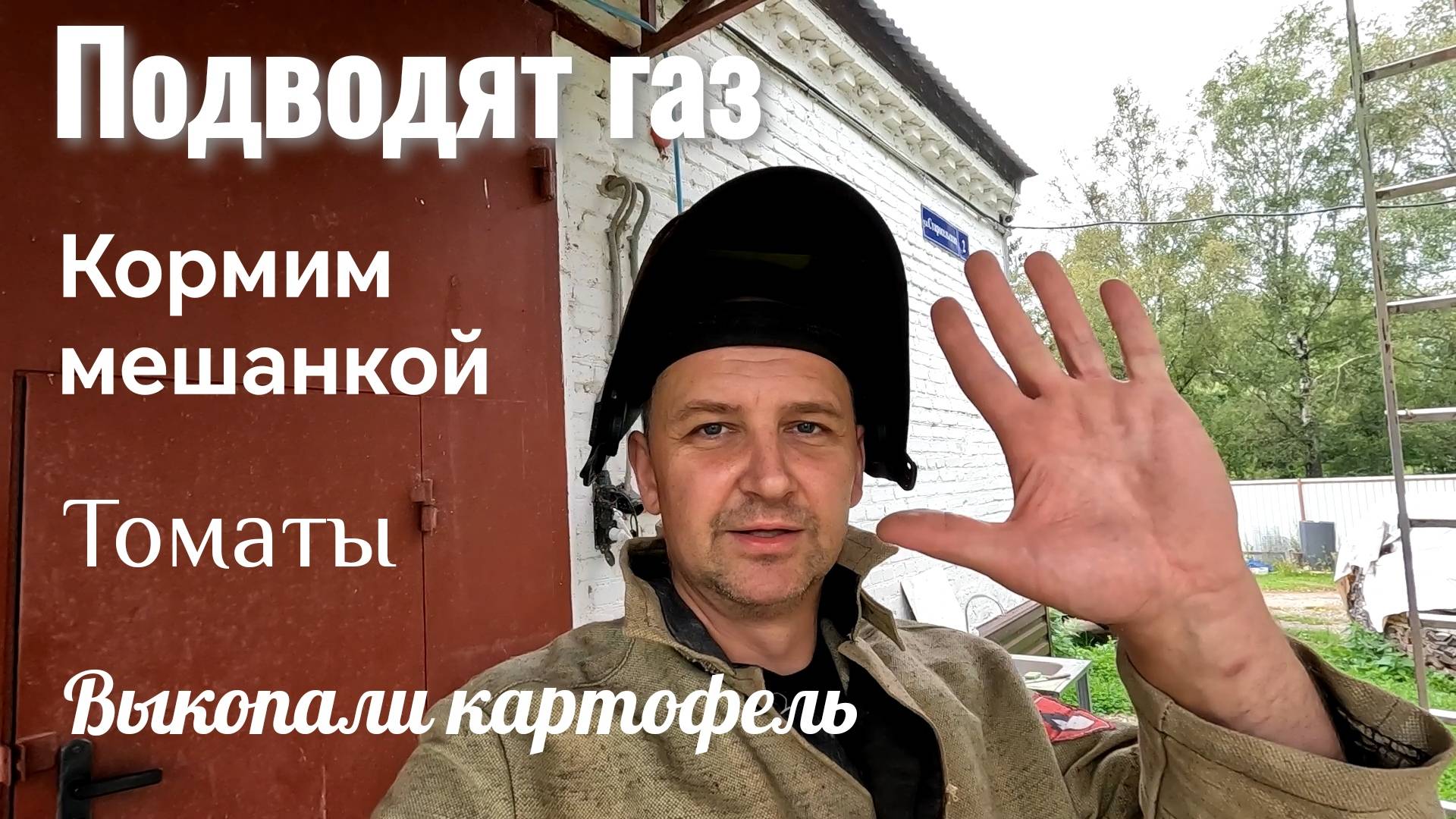 Готовимся к газификации. Кого кормим мешанкой? Что с картошкой и томатами?