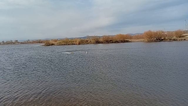К.Батуев и его ФСР МИНИ