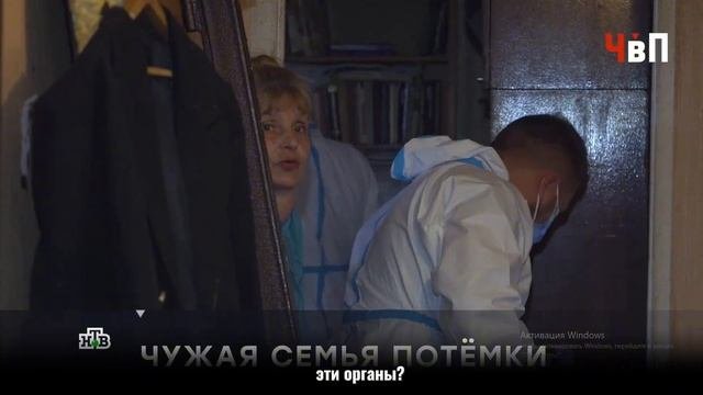 Мой комментарий для НТВ в передаче «Маньяк проводит опыты над животными»