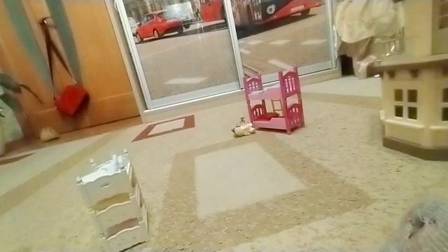 Игрушки