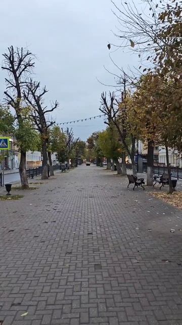 Россия, г.Тверь 05.10.25, 7:00АМ, +8° День УГРО & День учителя