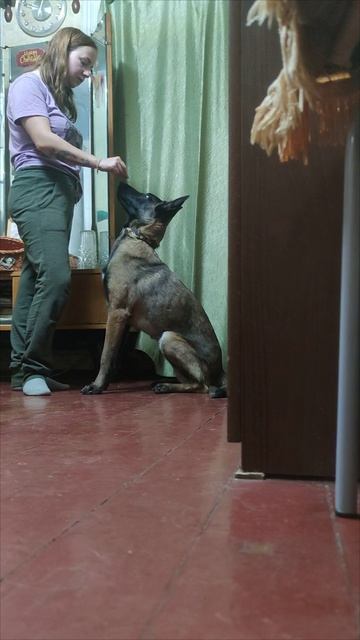 Пинцет