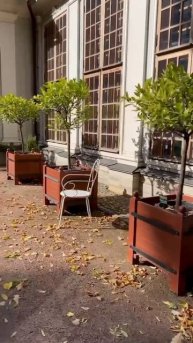 Летний сад. Санкт-Петербург