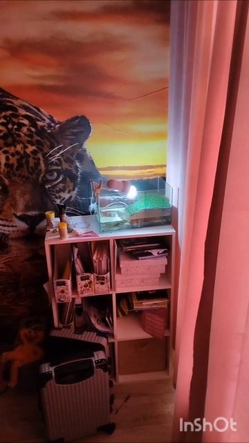 чё мне с ним делать?