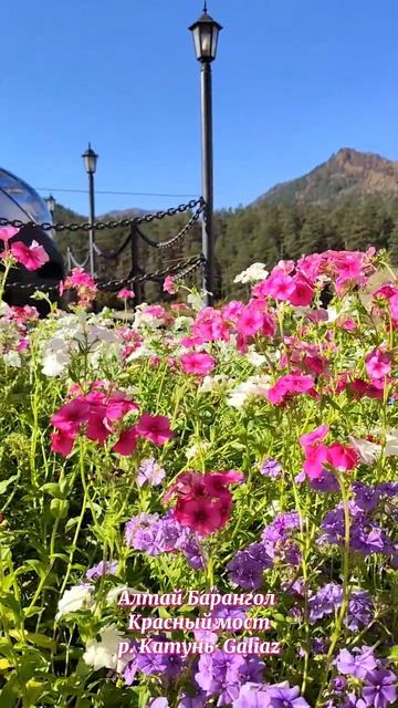 Алтай Легендарный Красный мост