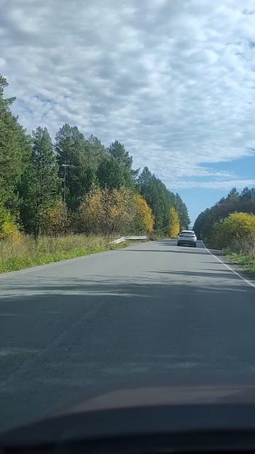 Краски осени по дороге на работу. Красота!