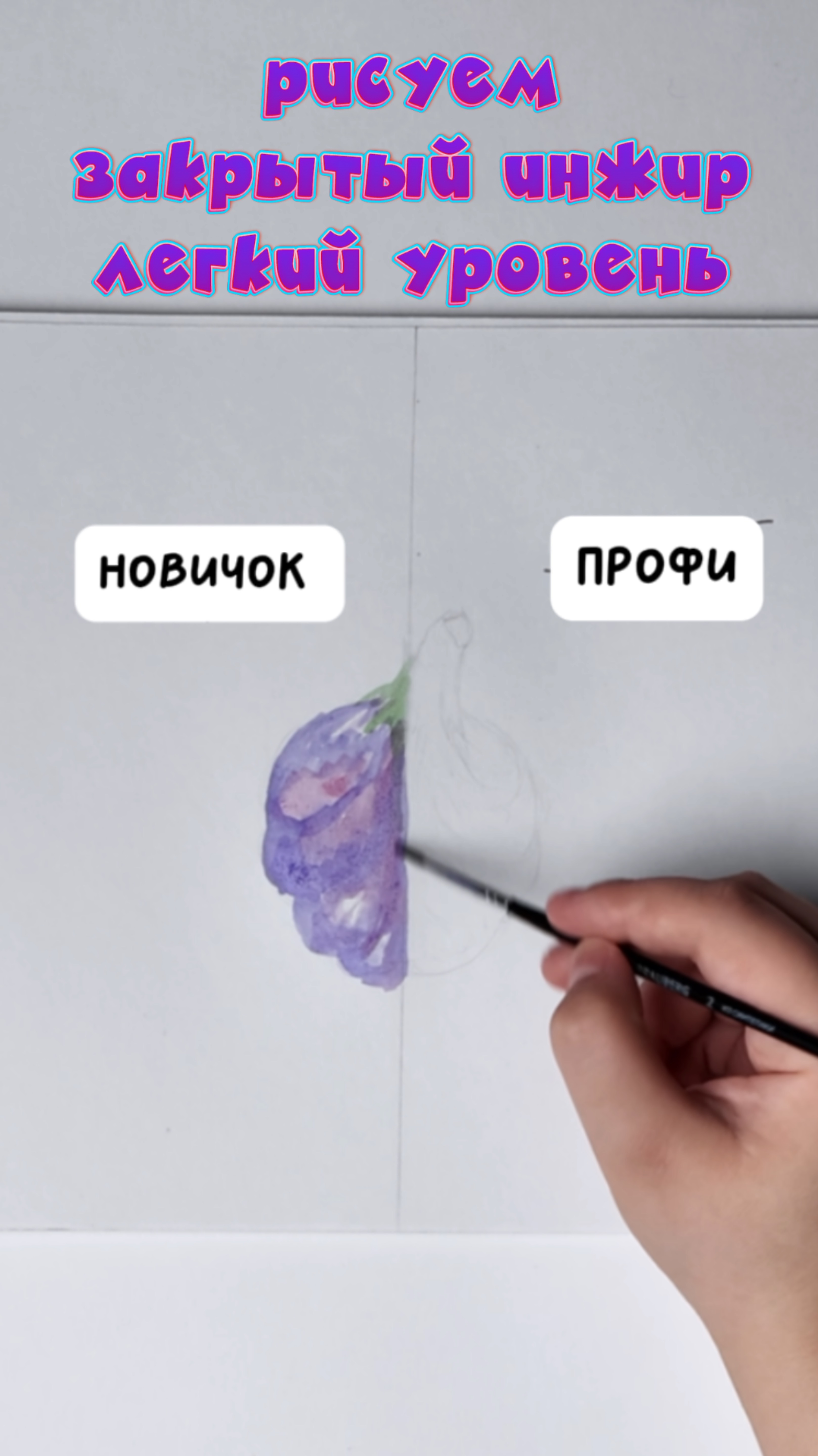 Рисуем закрытый инжир ( легкий уровень)